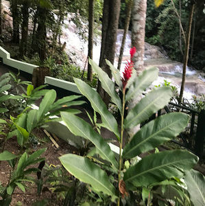 Meet your Posher, Taj